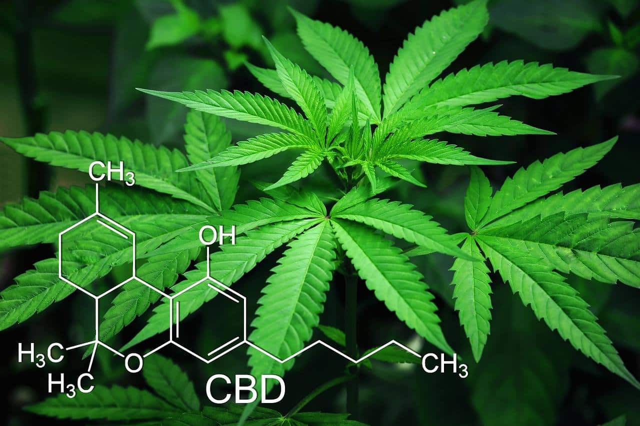 Cannabisblad og formel